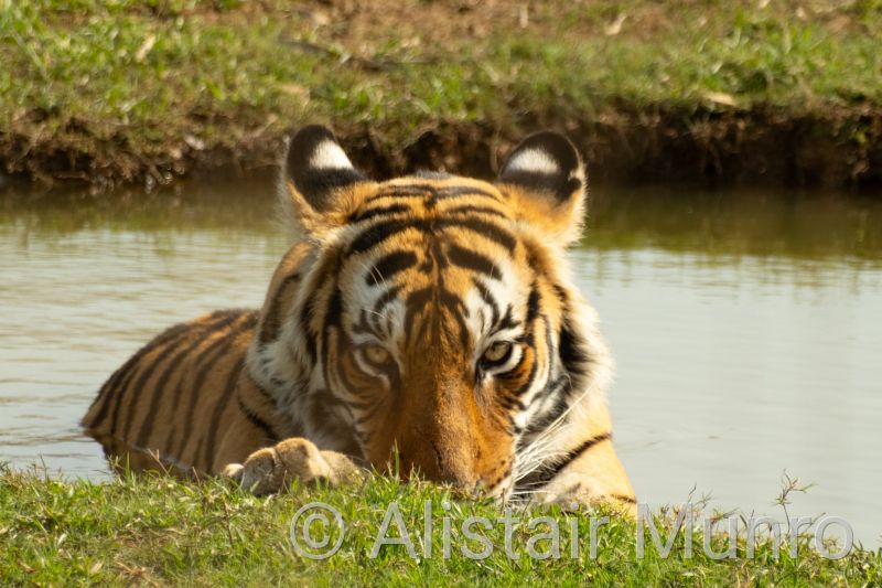 Ranthambore National Park